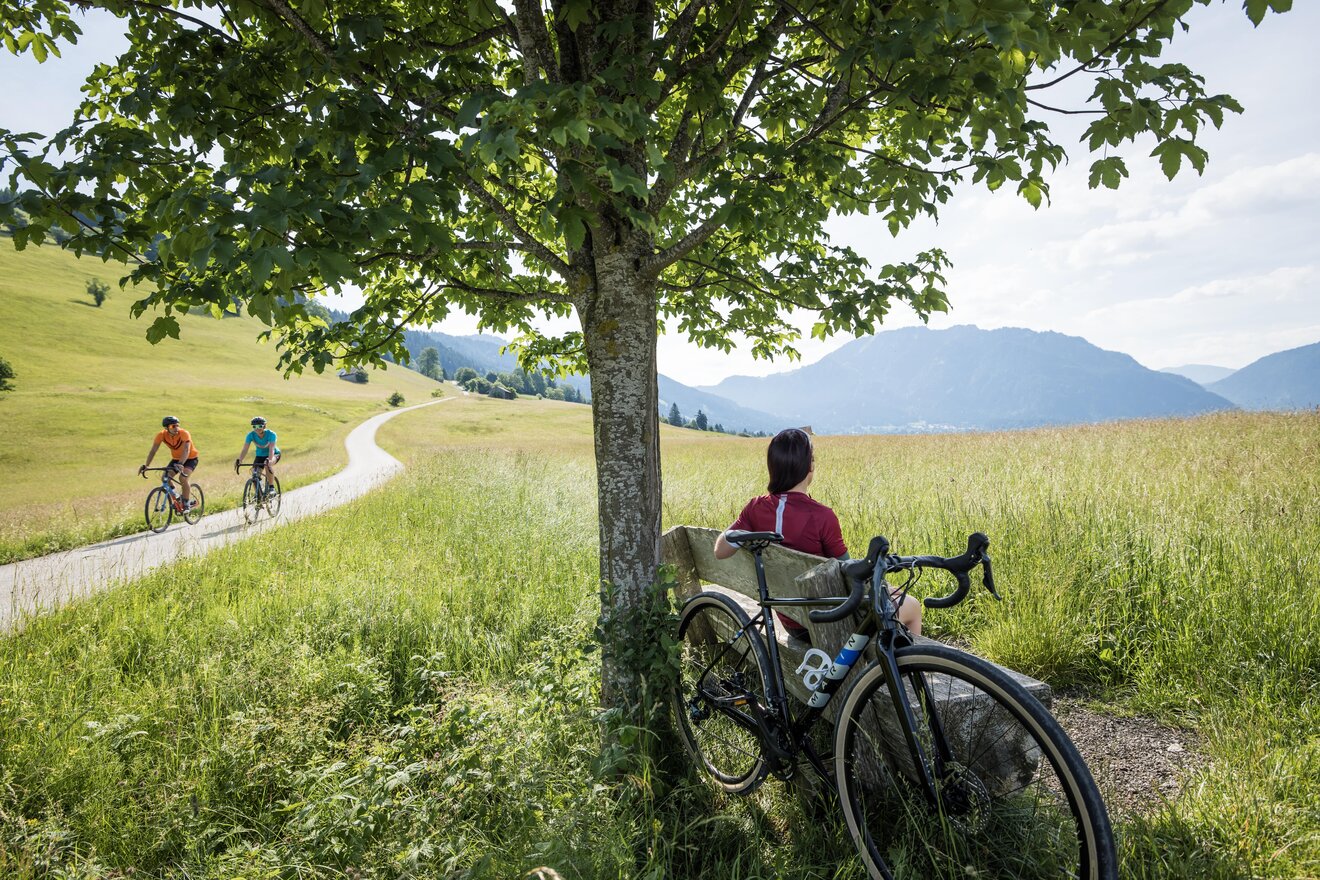 [Translate to Englisch (en):] Wandern im Naturpark Ammergauer Alpen